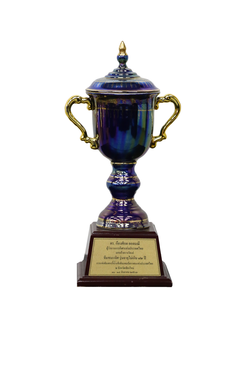 Achievement_0006_2020-u12 https://www.bangkokwarriors.com/wp-content/uploads/2024/07/Achievement_0006_2020-u12.png