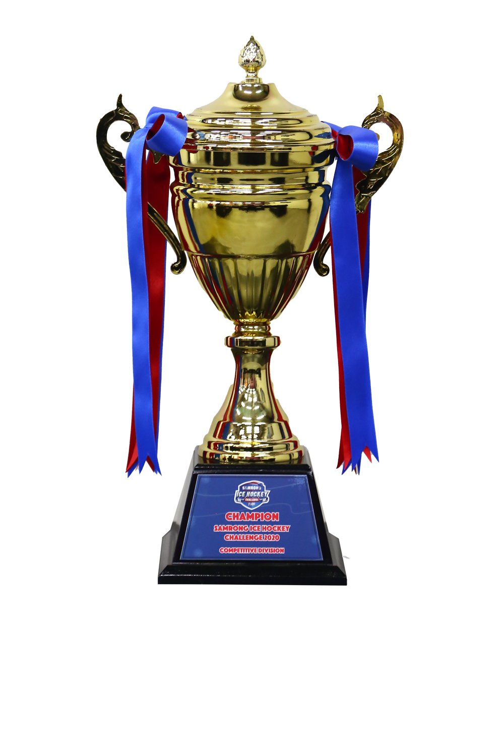 Achievement_0013_2020 https://www.bangkokwarriors.com/wp-content/uploads/2024/07/Achievement_0013_2020.png