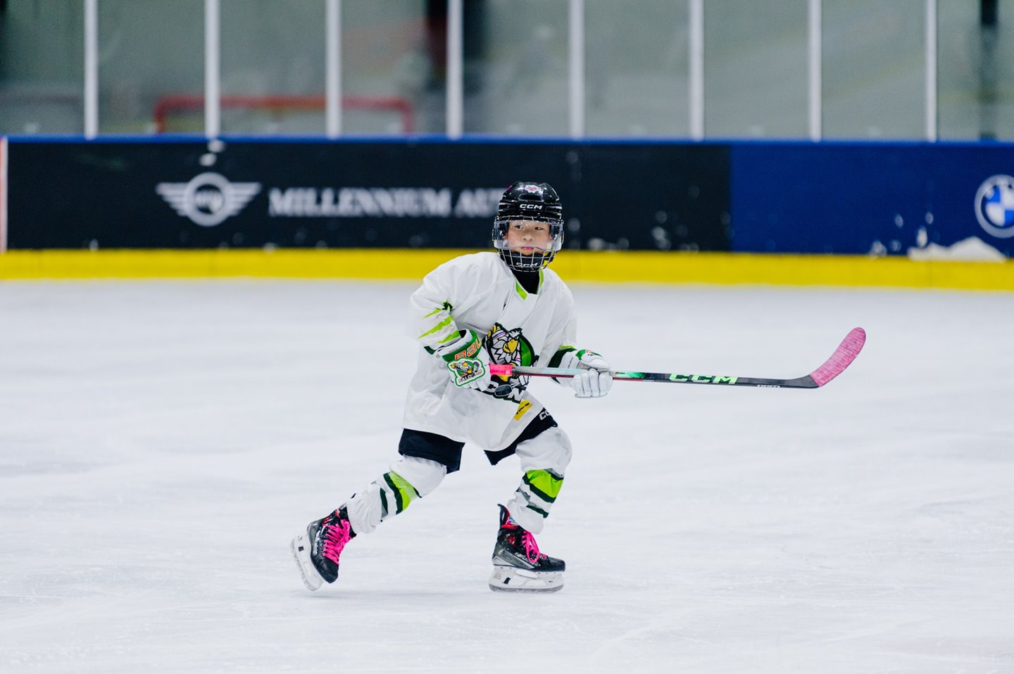 625503610_868427635960002_8722249651578950947_n