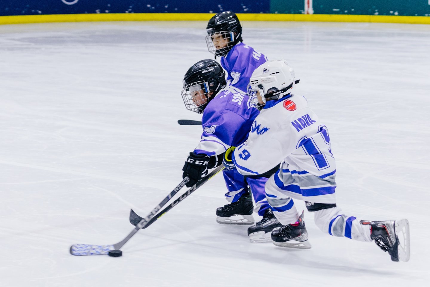 625879952_869446999191399_175273720346547118_n