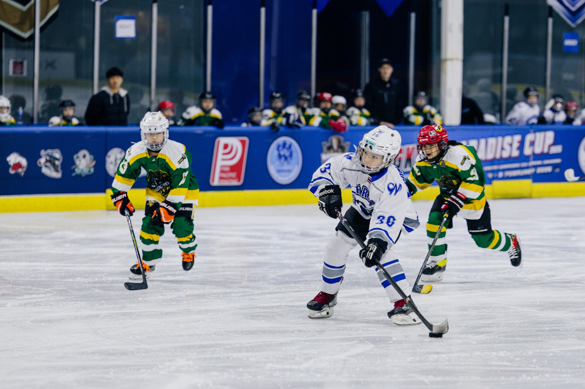 625880466_869414155861350_6630702344264568787_n