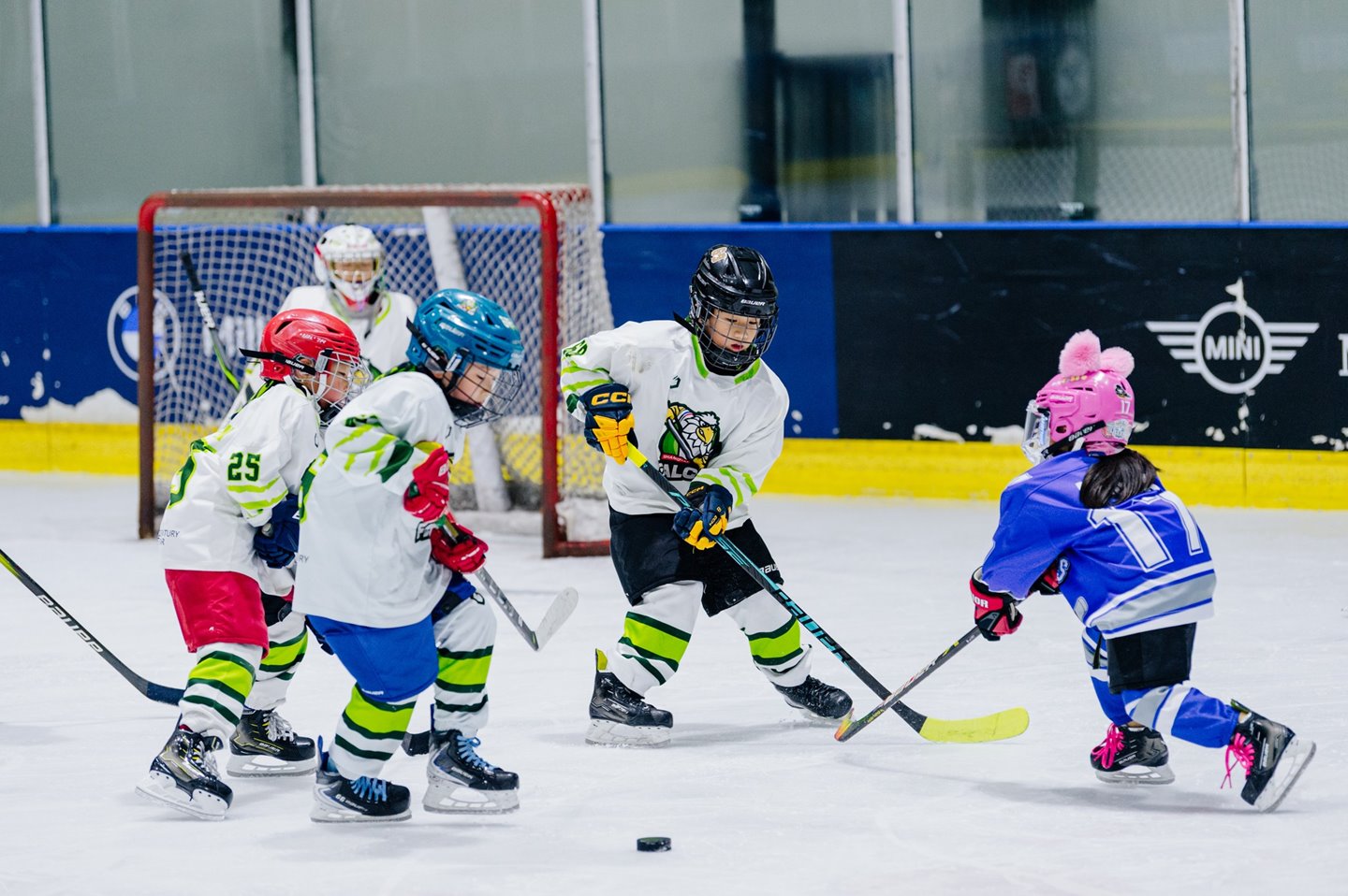 626829801_868425905960175_6217437057351649799_n