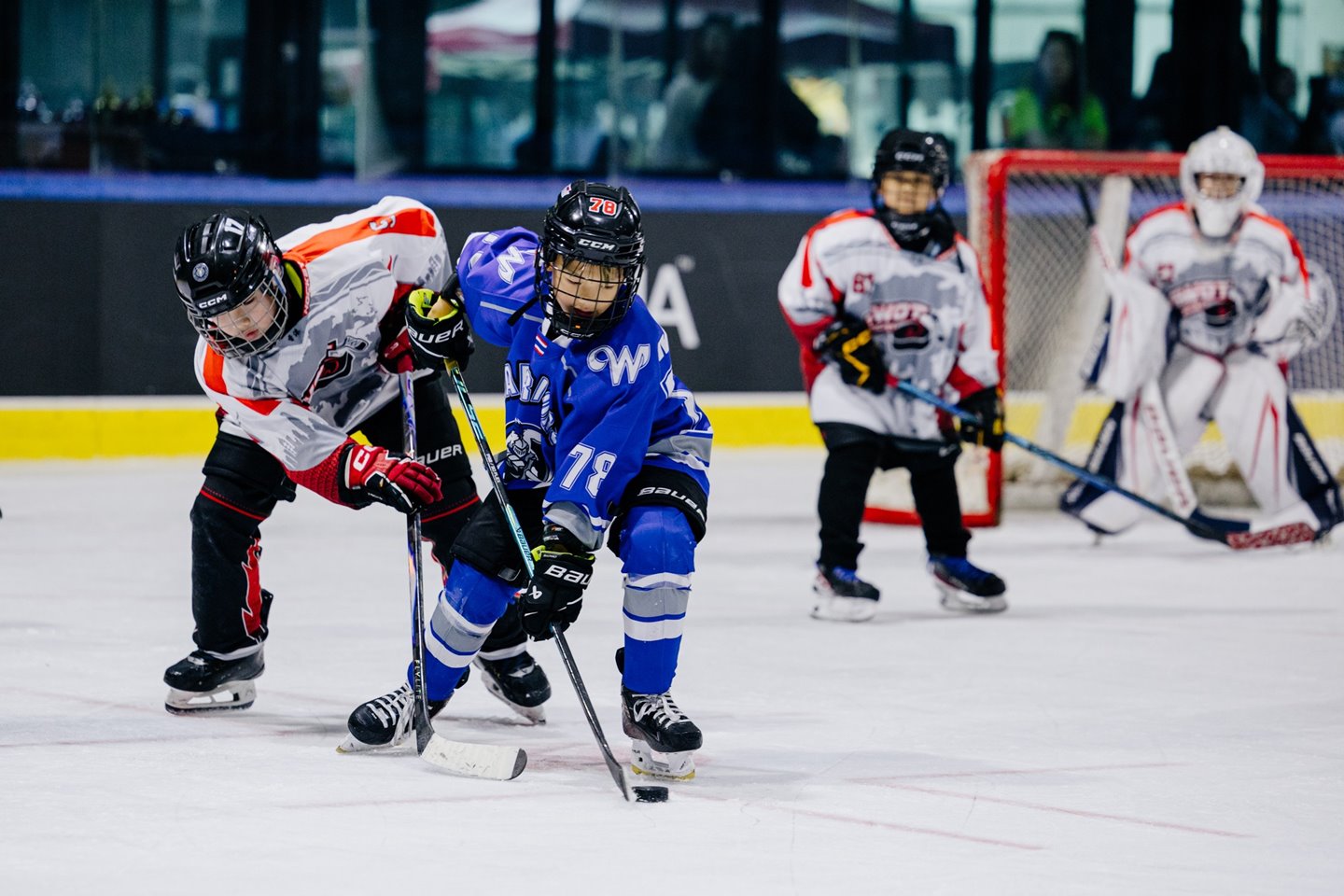 627789060_871980162271416_1867724918273007121_n