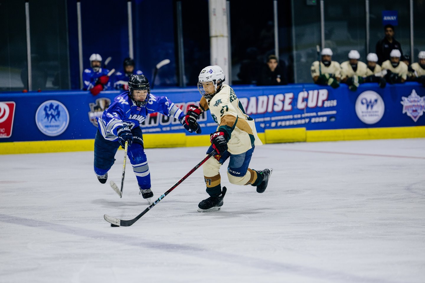 628248350_872179085584857_2335949510774992611_n