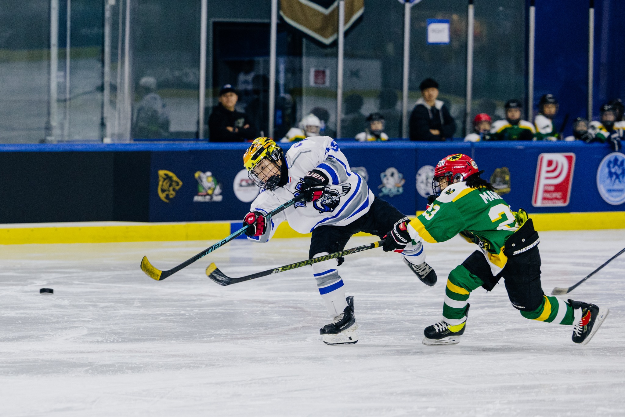 628440332_869414539194645_1089838760834318392_n