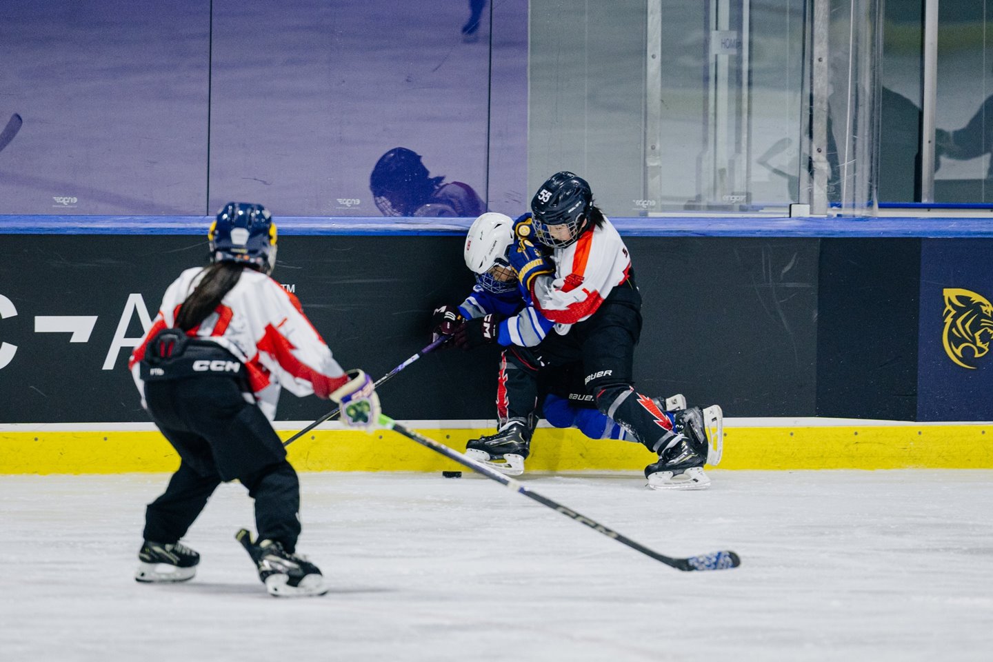 629213252_871960152273417_1033390034356522836_n