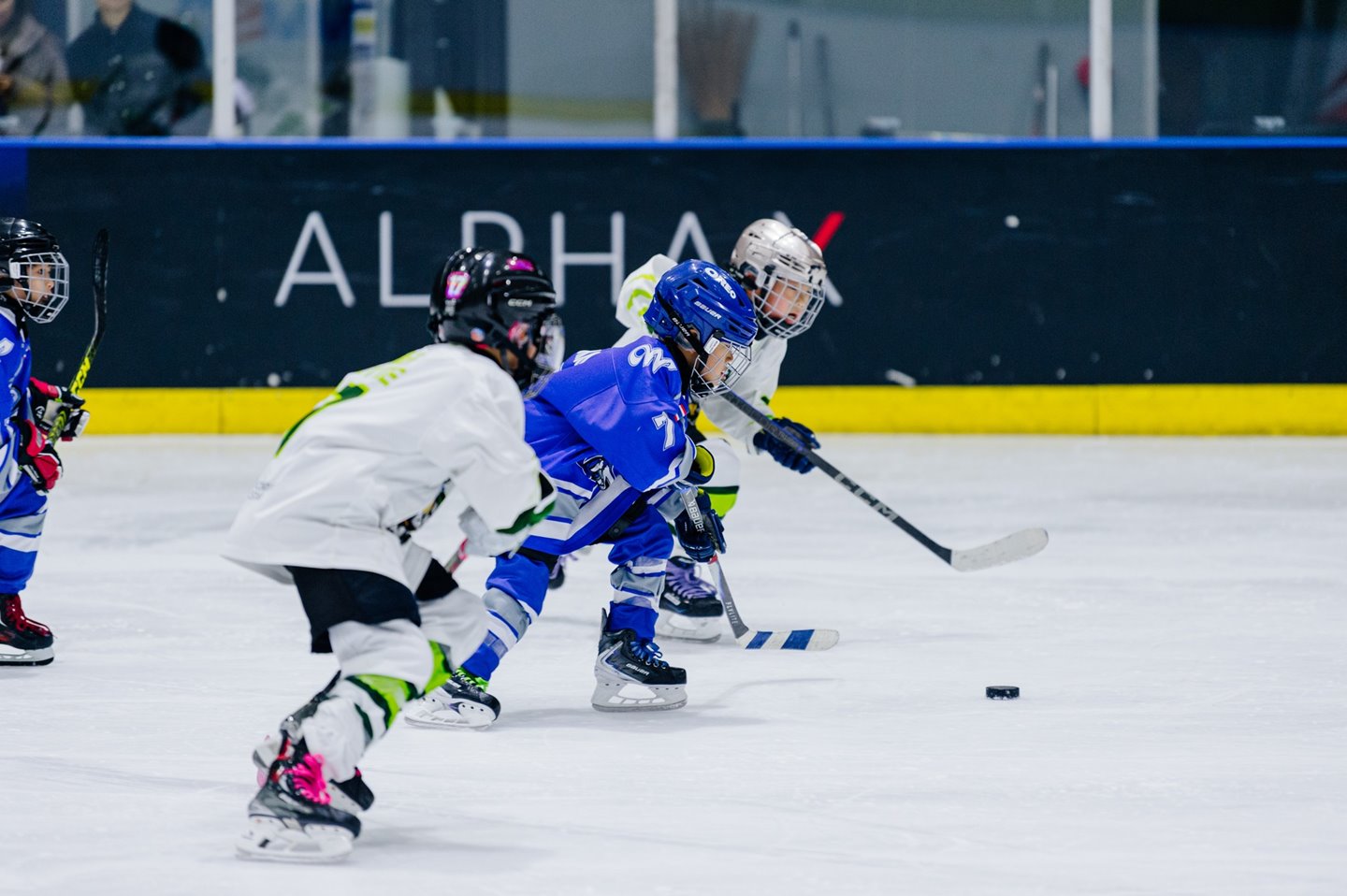 629295611_868431172626315_5856088705677576365_n