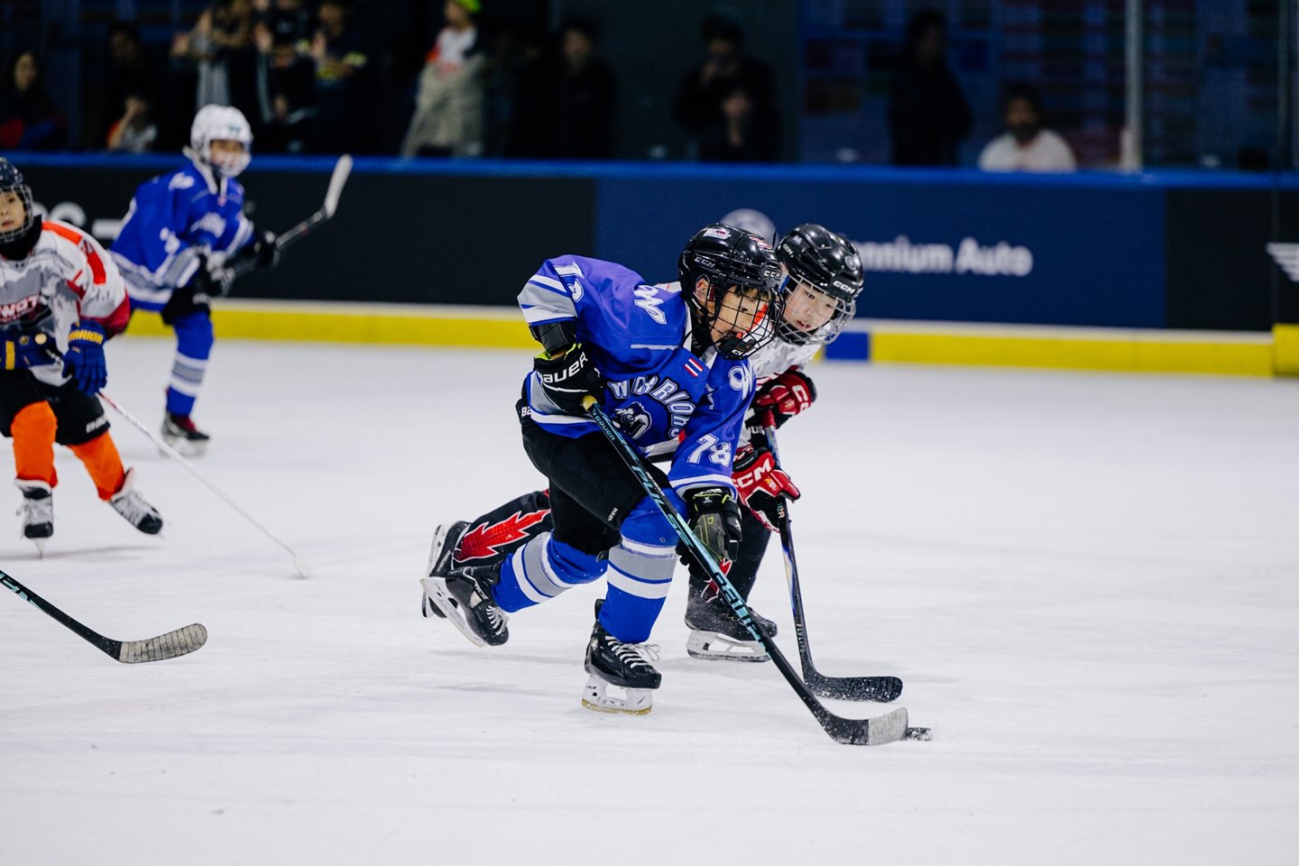 629352450_870662579069841_7622084294560751559_n