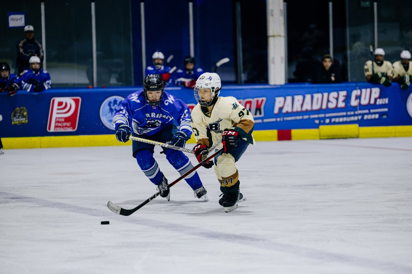 630399359_872179178918181_3619838894739755649_n