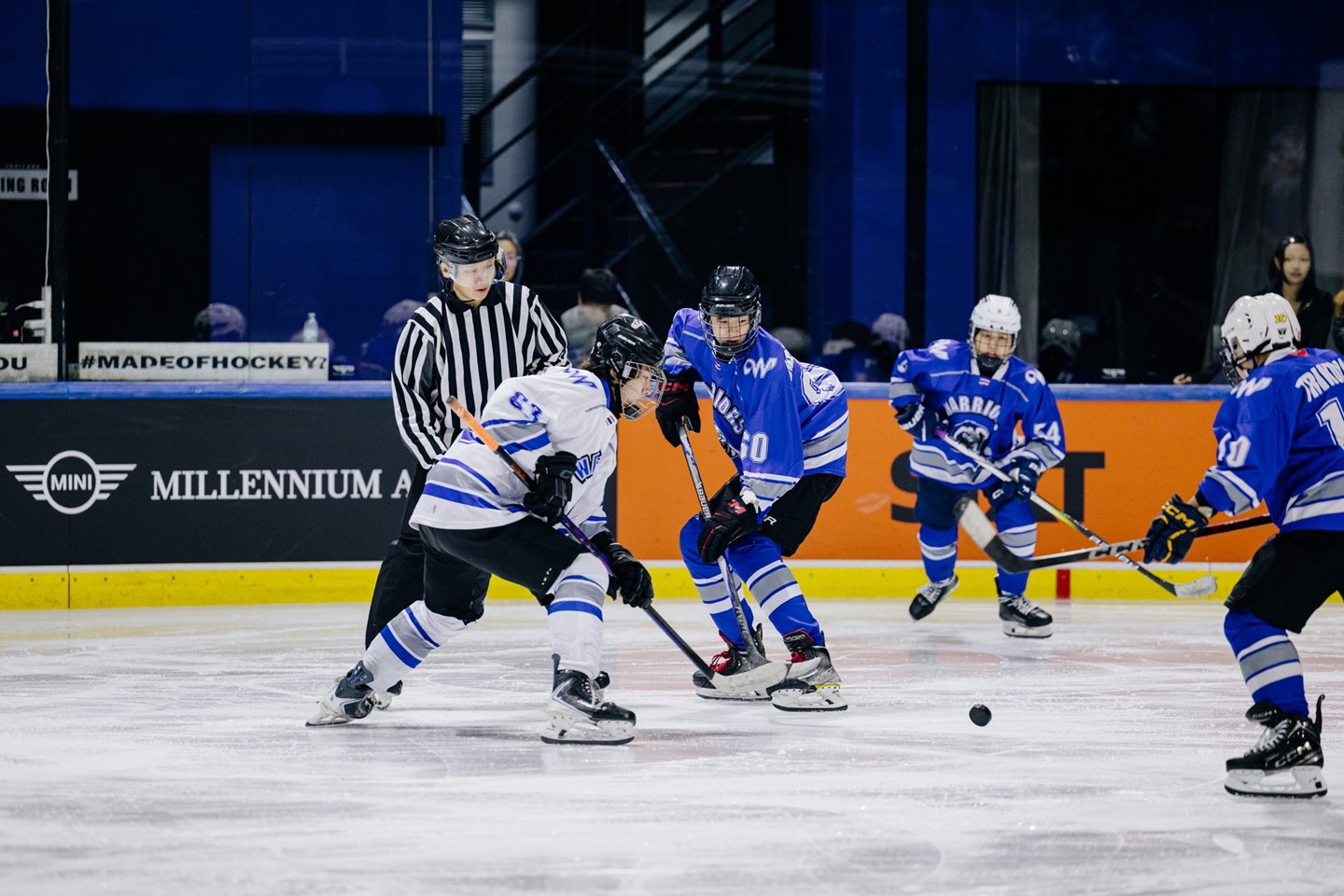 631005888_871302162339216_6984151640867272973_n